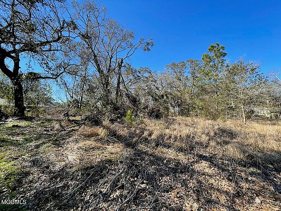 4th image of LOT 19 Destiny Oaks Dr Lot 19