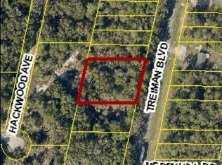 0 Treiman Blvd #42-43, Webster, FL 33597