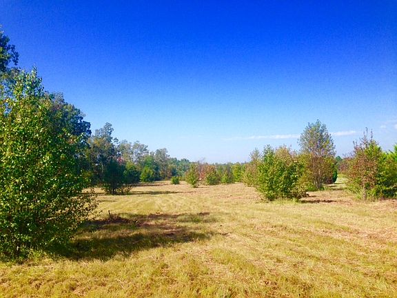 3rd image of 2548 Cedar Grove Road Leesville Sc 29070