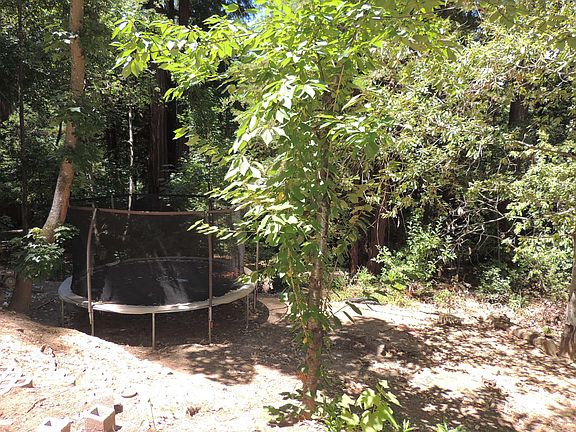 5th image of 15670 Forest Hill Dr