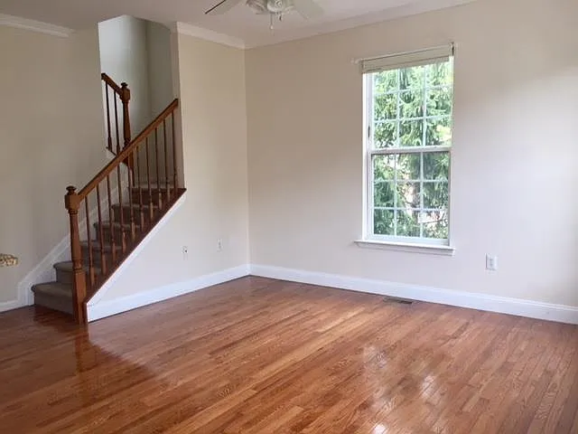 15 Alexander Ct — Photo 4