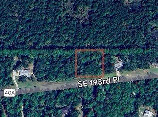 LOT 4 SE 193rd Pl, Yankeetown, FL 34498
