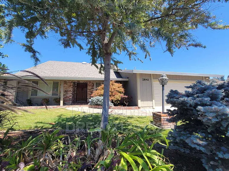 2842 Vista Grande — Photo 2