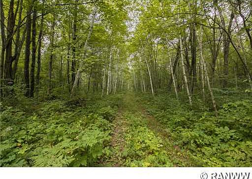 2nd image of N 9165 Riverwood Road