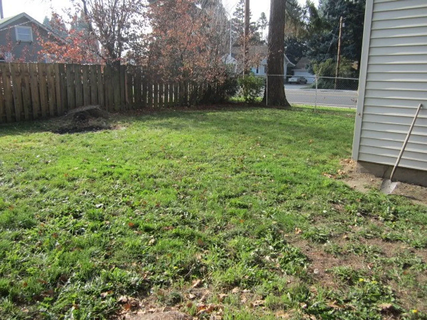 Cute Newley Remodeled 3 BD in Aloha!! — Photo 4