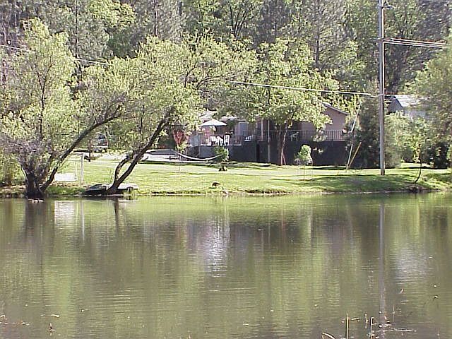 view from dam of house and front yard
