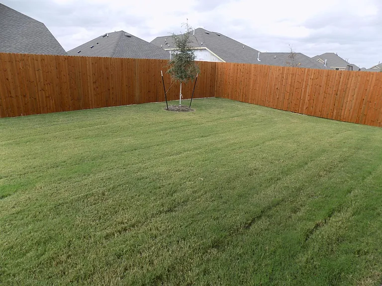 506 Saffron St — Photo 17