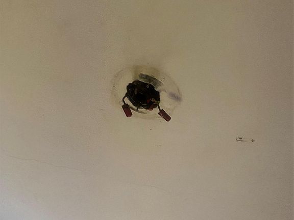 5th image of 2713 Eastchester Road