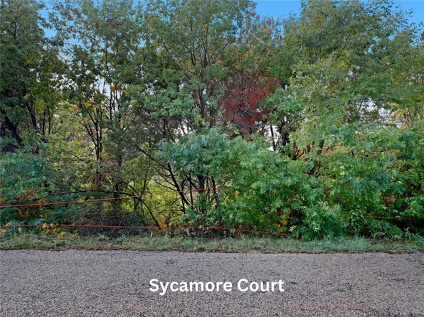 2907 Sycamore Ct, Granbury, TX 76048