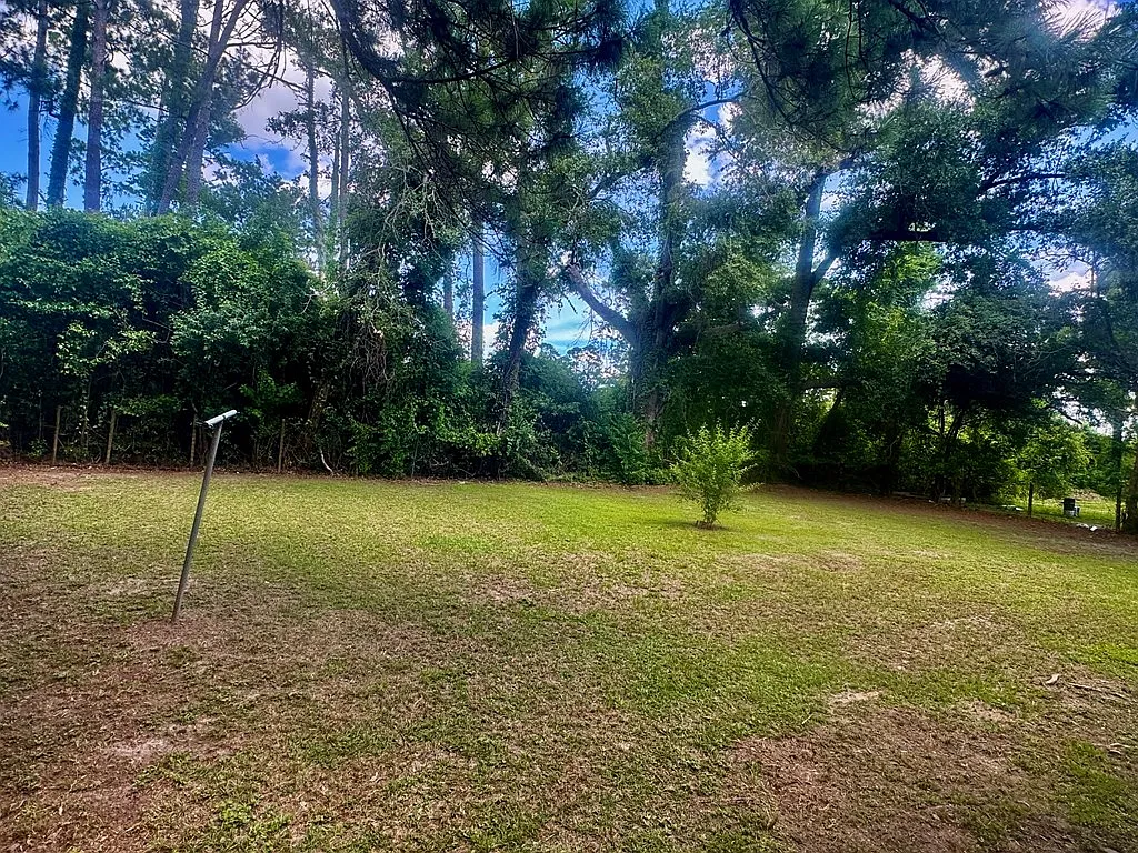 3 bed, 1.0 bath, 1000 sqft, $1,100 — Photo 3
