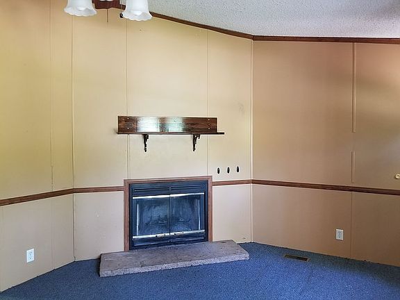 Wood burning fireplace