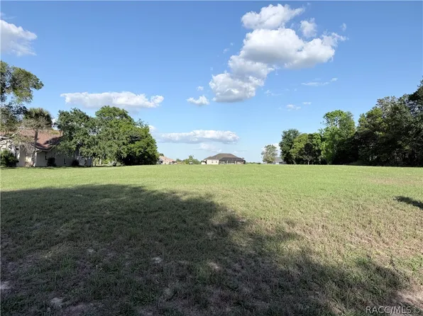 1471 N Man O War Dr, Hernando, FL 34442