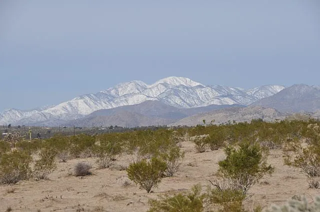 Desert Way — Photo 13