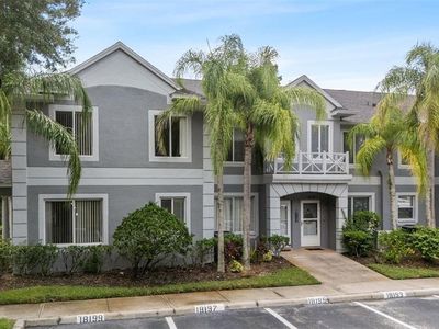 18195 Paradise Point Dr, Tampa, FL, 33647