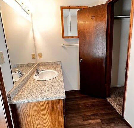 Master bath vanity and closet