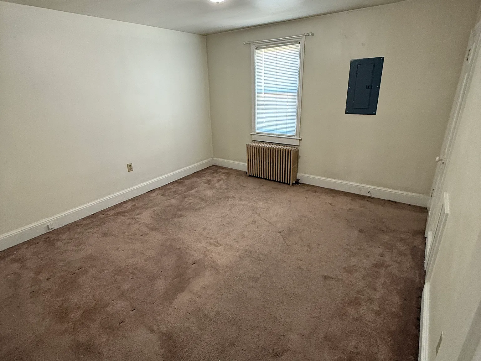 1 bed, $950 — Photo 3