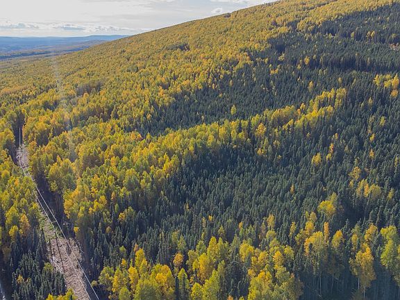 2nd image of Nhn Teslin Trl