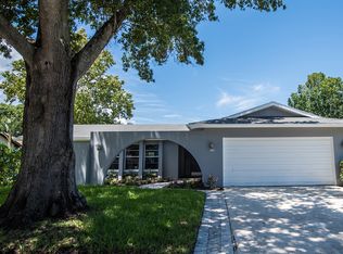 2825 Paddock Dr, Palm Harbor, FL 34684