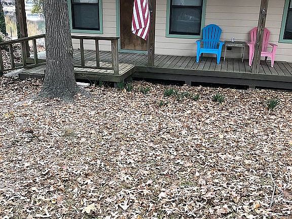 4th image of 235 Naples Dr