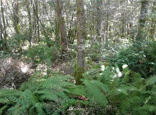 0 E Lynch Rd, Shelton, WA 98584