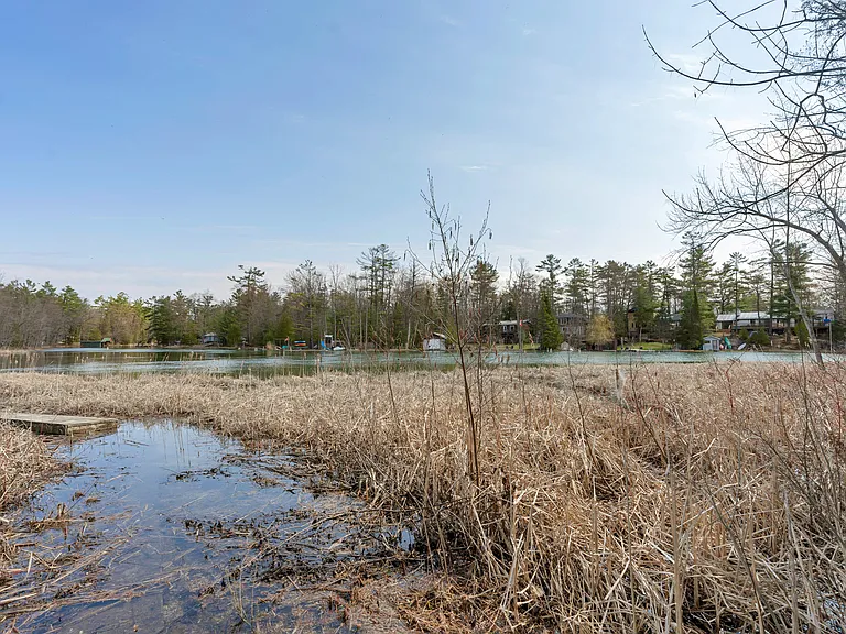 8149 Rama Rd #8149 RAMA RD WASHAG — Photo 41
