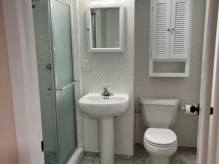 Downstairs bathroom with shower
