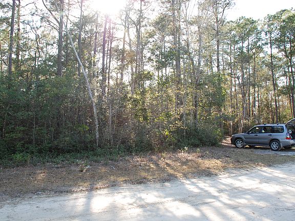 Wooded Lot