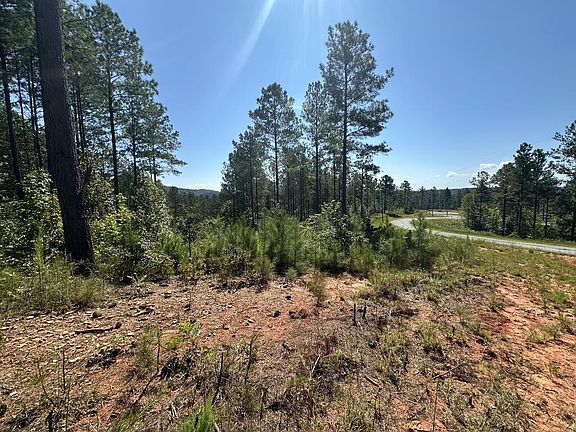 4th image of LOT 80 Seven Mile Creek Rd