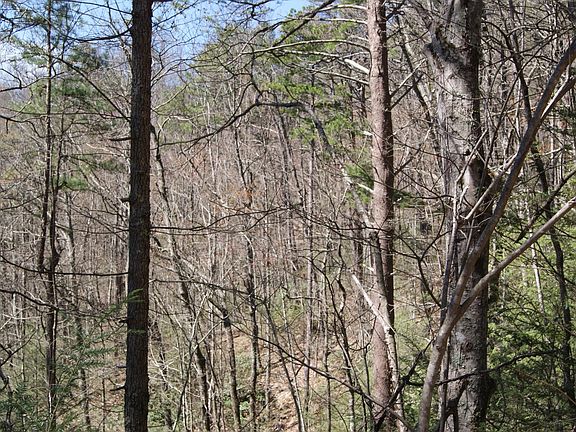 5th image of 0 Shady Gap Way Lot 29