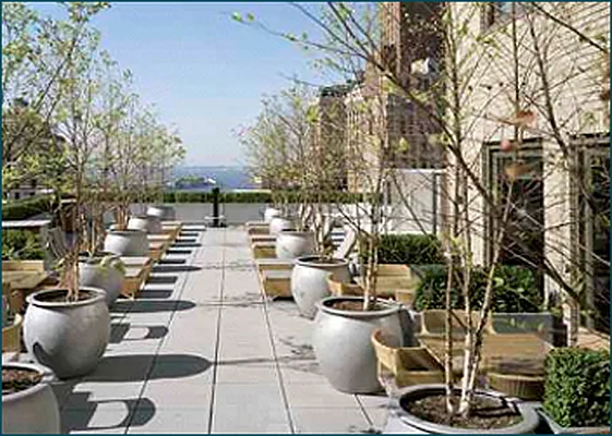 Rented by Brown Harris Stevens | media 44