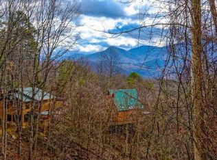 1030 Daisy Ln, Gatlinburg, TN 37738