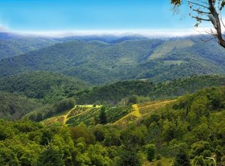 323 Hiley Branch Ln, Whitetop, VA 24292