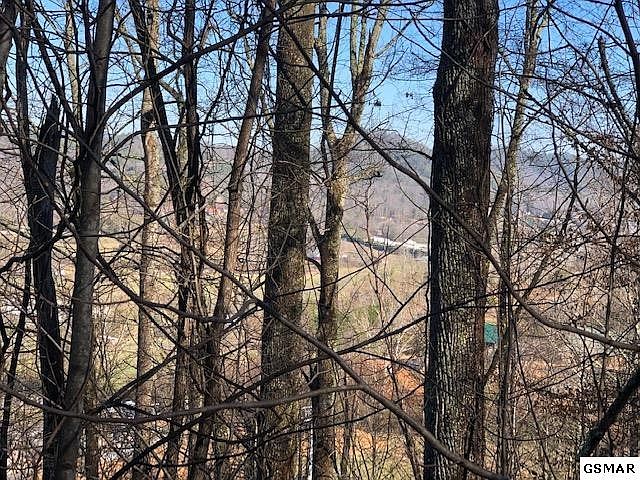 1st image of 0 Wilderness Mountain Rd