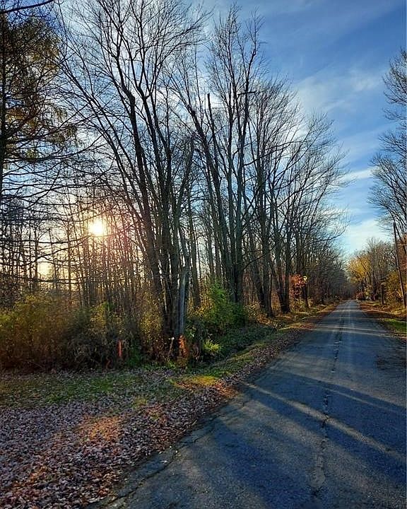 1st image of Magnolia Dr #7