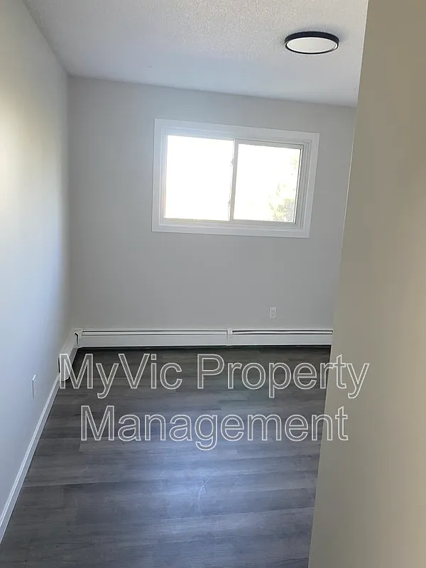 2 bed, 1.0 bath, $1,500 — Photo 4