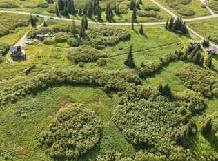 38508 Mossberg Dr, Homer, AK 99603