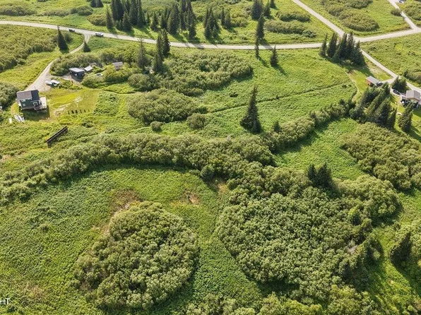 38508 Mossberg Dr, Homer, AK 99603