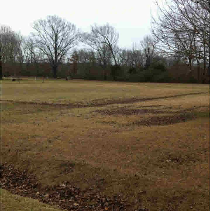 1st image of 4 Pine Leaf Dr