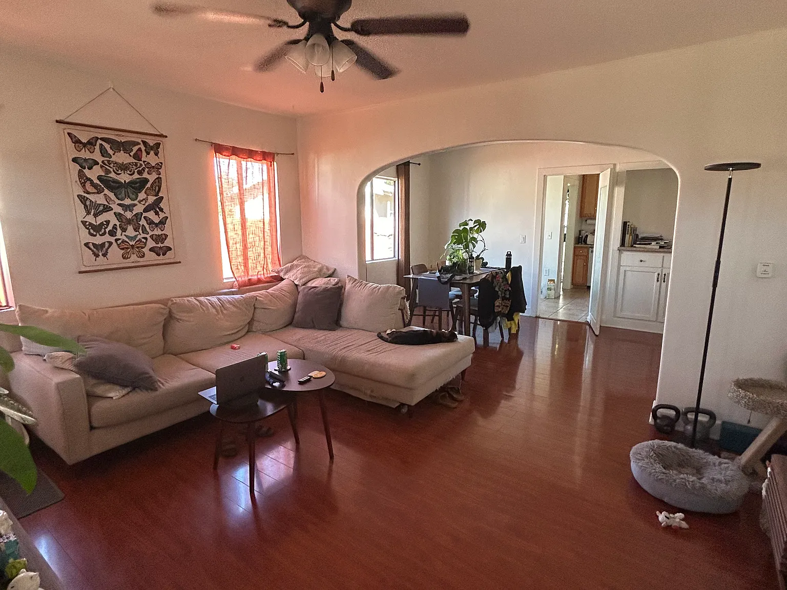 2 bed, 900 sqft, $1,200 — Photo 2