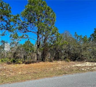 11 Paw Paw Ct S, Homosassa, FL, 34446