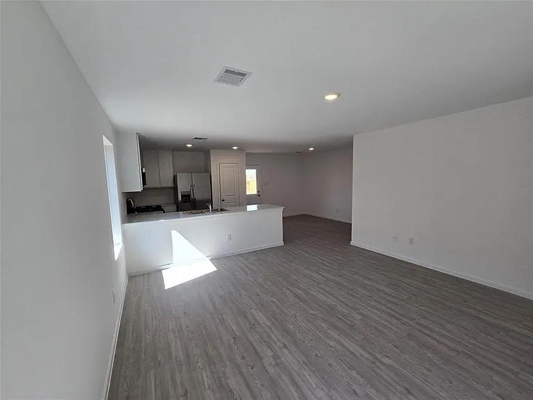 29035 Pearl Barley Way — Photo 3