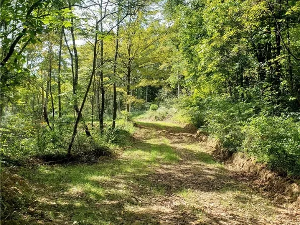 Archers Ridge Rd, Caldwell, OH 43724