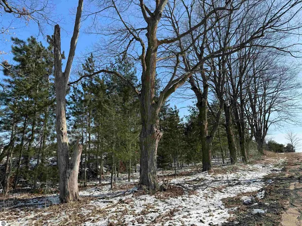 N 33rd Rd, Manton, MI 49663