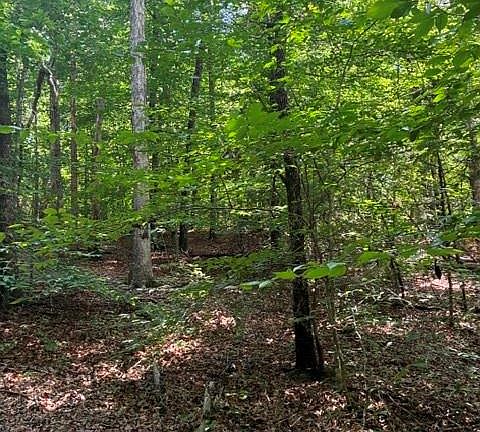 3rd image of 0 Moss Dr #71