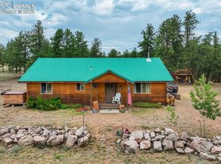 141 Cabin Ln, Guffey, CO 80820