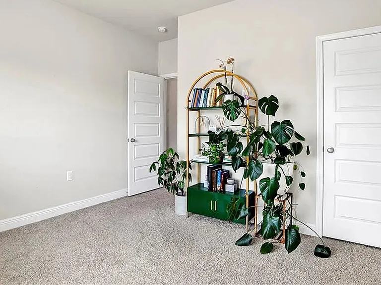 24253 Alydar Loop — Photo 15