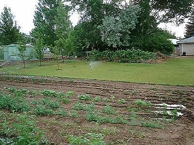Garden Area View
