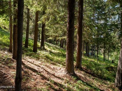 Nka Makridge Ln, Kingston, ID, 83839