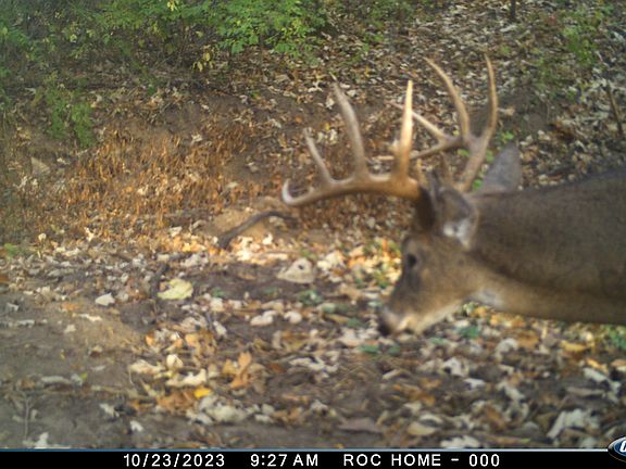 5th image of 275th St