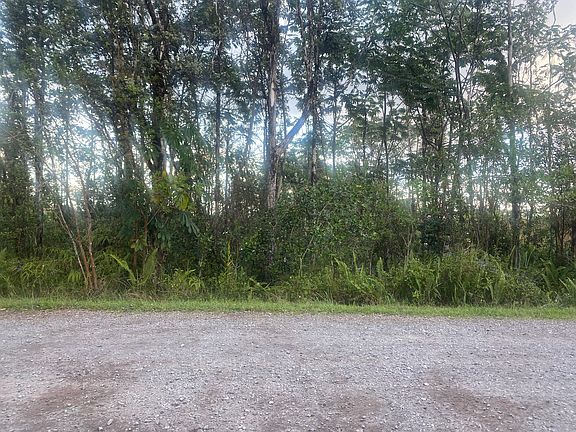 2nd image of 16-2045 Azure Dr Lot 9